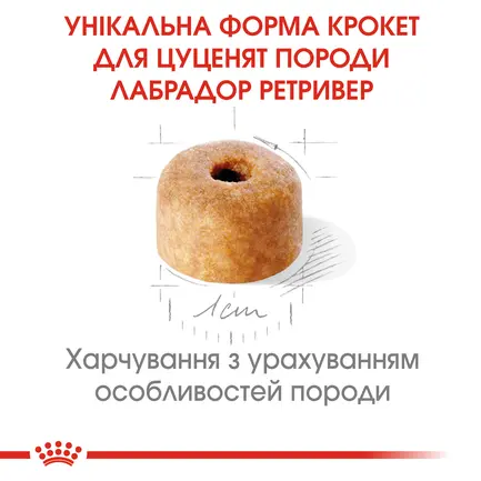 Сухий корм Royal Canin LABRADOR PUPPY для цуценят породи Лабрадор 3 кг: додаткове фото 4