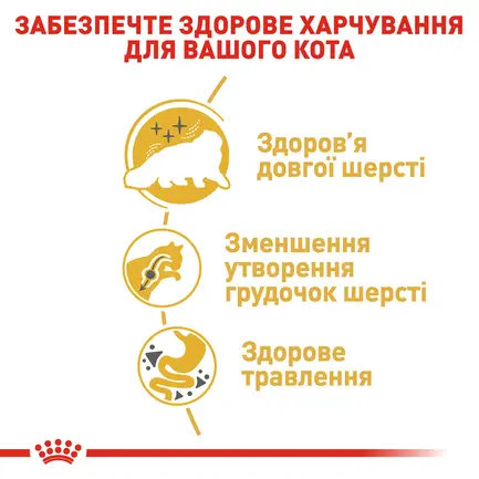 Сухий корм Royal Canin PERSIAN ADULT для персидських котів 2 кг: додаткове фото 4