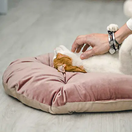 Ferplast PRINCE 65/6 CUSHION BLUE-BEIGE Подушка-підстилка двостороння,синьо-бежева: додаткове фото 6
