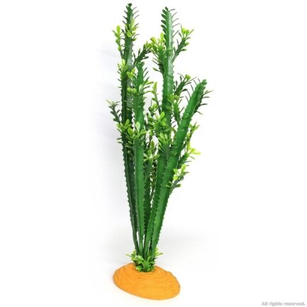 Штучна рослина кактус Hobby Euphorbia L 25x10x49см (37000) — Фото 2