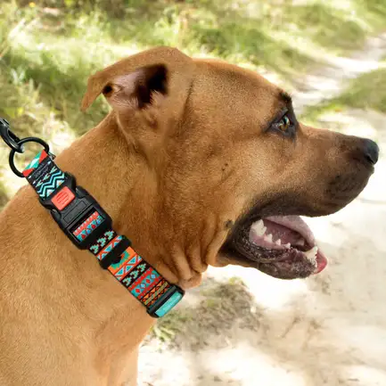 Нашийник для Собак BronzeDog Urban Нейлоновий з Пластиковою Пряжкою Ацтеки M: додаткове фото 6
