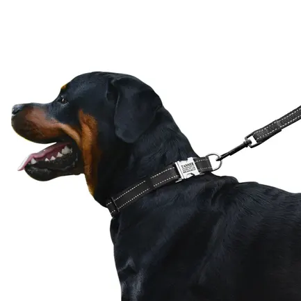Нашийник для Собак BronzeDog Active Нейлоновий зі Світловідбиттям та Металевою Пряжкою Чорний M: додаткове фото 3