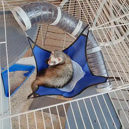 Ferplast CAGE FURET XL Клітка для тхорів: додаткове фото 4