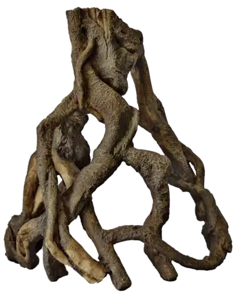 Декорація для акваріума SF MANGROVE ROOT L (A4040710)