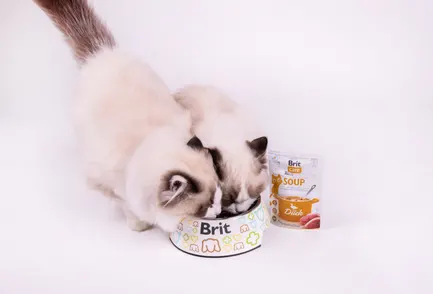 Корм вологий "Суп для котів Brit Care Soup with Duck з качкою", 75 г: додаткове фото 5