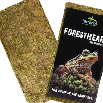Натуральний мох торф’яний Terrario ForestHeart Sphagnum Moss 100г для тераріумів та орхідей: додаткове фото 3