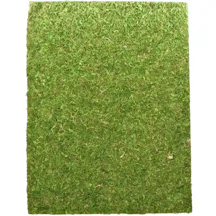 Фон моховий Repti-Zoo Natural Moss Back & Bottom 60x45см 2шт. (NCM6045)