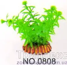 Aquatic Plants (Акватик Плэнтс) Акваріумна рослина, 8 см х 10 шт/уп.