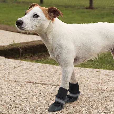 Ferplast PROTECTIVE SHOES XL (x2) Захисне взуття для собак чорне: додаткове фото 3
