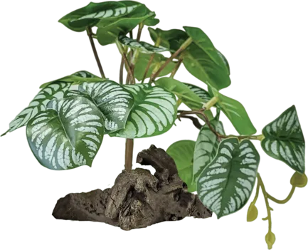 REPTO PLANT ON DECO BEGONIA (R5100450) Штучна рослина для тераріума
