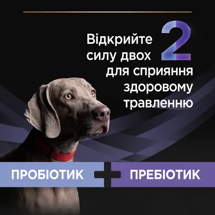 Пробіотик з пребіотиком PRO PLAN FortiFlora PLUS для дорослих собак та цуценят для підтримання нормальної міклофлори кишечника 30x2 г: додаткове фото 6