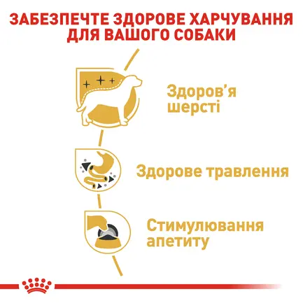 Вологий корм Royal Canin CHIHUAHUA ADULT для дорослих собак породи Чихуахуа 85 г: додаткове фото 3