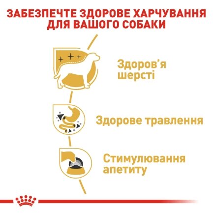 Вологий корм Royal Canin CHIHUAHUA ADULT для дорослих собак породи Чихуахуа 85 г — Фото 1