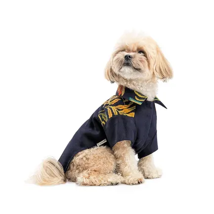 Сорочка Pet Fashion Тарас для собак синя М: додаткове фото 2