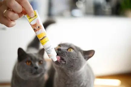 Паста для котів GimCat DUO PASTE Multi-vitamin 12 vitamins with cheese 12 вітамінів та сир, 50 г: додаткове фото 4