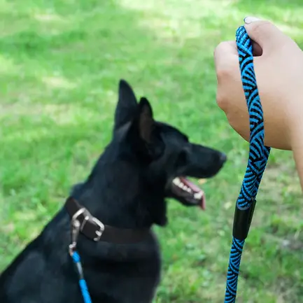Повідець для Собак Bronzedog Active з Альпіністського Шнура Чорно-Салатовий L/XL: додаткове фото 6