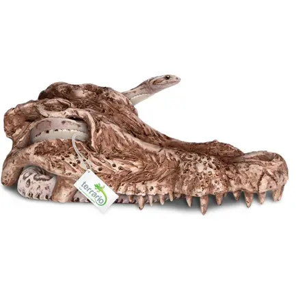 Декорація череп крокодила Terrario Crocodile Skull 30x14x9см (A15911): додаткове фото 5