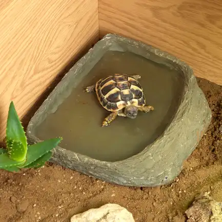 Тераріумний стартовий набір HABISTAT TORTOISE TABLE ACCESSORY KIT (R1100025): додаткове фото 6