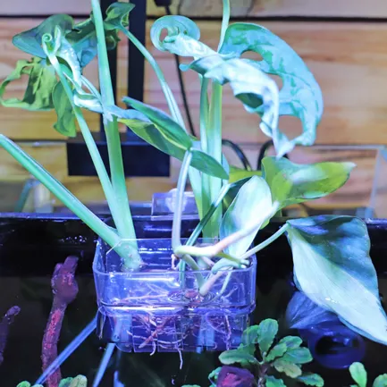 Контейнер для вирощування рослин в акваріумі Hobby Plant basket 8×9×8см (61330): додаткове фото 4
