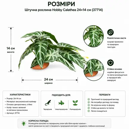 Штучна рослина Hobby Calathea 1 24×14 см (37714) для тераріуму, акватераріуму та палюдаріуму: додаткове фото 2