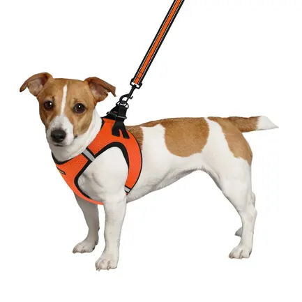Шлея для собак Bronzedog Mesh Vest 3D сітка помаранчева M: додаткове фото 3