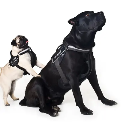 Шлея "Dog Extreme" "POLICE" №2 (В:40-60см), чорний: додаткове фото 5