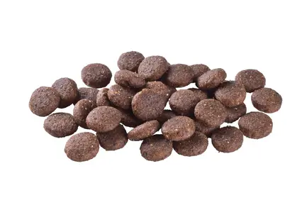 Сухий корм Brit Care Dog Hypoallergenic Junior Large Breed для молодих собак великих порід, гіпоалергенний з ягням, 3 кг: додаткове фото 2