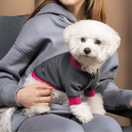 Толстовка Pet Fashion «Bim» для собак, розмір XS2, сіра: додаткове фото 4