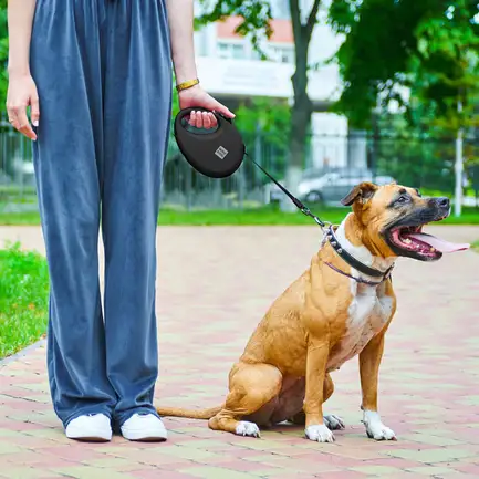 Повідець-рулетка для собак WAUDOG R-leash з контейнером для пакетів, світловідбивна стрічка, L, до 40 кг, 5 м, чорний: додаткове фото 2
