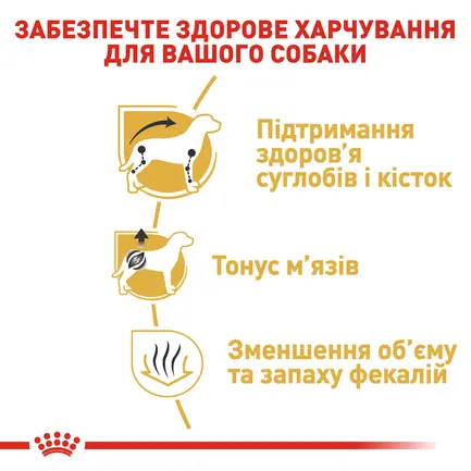 Сухий корм Royal Canin DACHSHUND ADULT для дорослих собак породи Такса 1,5 кг: додаткове фото 3