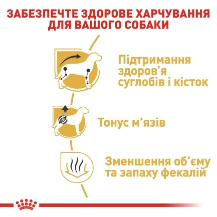 Сухий корм Royal Canin DACHSHUND ADULT для дорослих собак породи Такса 1,5 кг — Фото 1