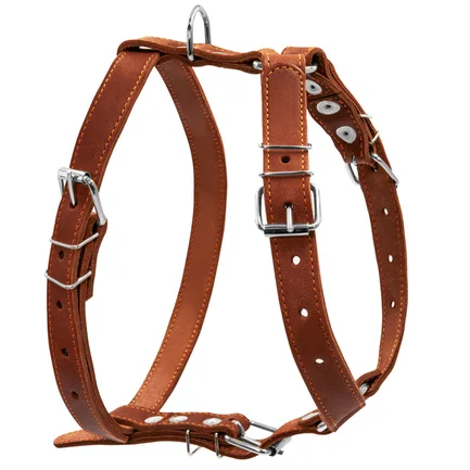 Шлея "CoLLaR" одинарна для середніх собак (ширина 25мм, А:49-68см, В:68-80см) коричневий