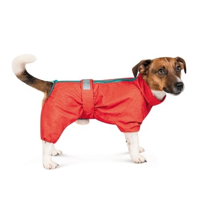 Дощовик Pet Fashion «Rain» для собак, розмір 2XL, червоний — Фото 1