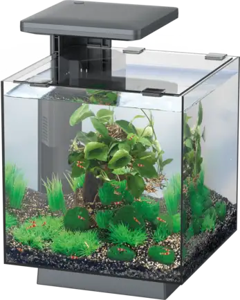 Акваріумний набір SuperFish QubiQ 15 LED Black (A4050809)