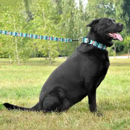 Повідець для Собак Bronzedog Urban Нейлоновий Інки L: додаткове фото 6