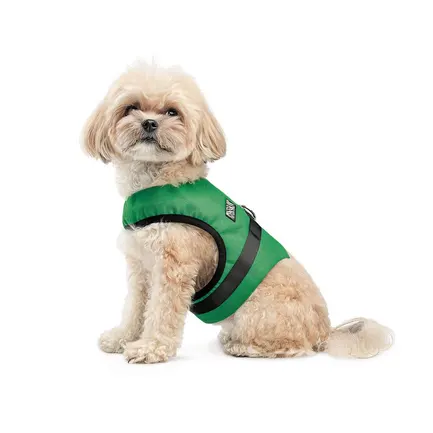 Шлея Ross ТМ Pet Fashion для собак XXS зелена: додаткове фото 3