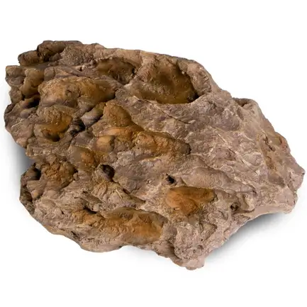 Декорація укриття Terrario Dragon Stone M 22x15x8см (23149): додаткове фото 4