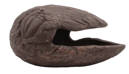 Декорація для акваріума REPTO DECO COCOON BROWN L (R5100320)