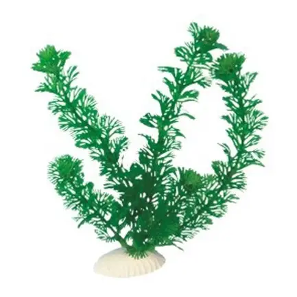 AquatiC Plants (Акватик Плентс) Акваріумна рослина 41cм, AP -004 - 16