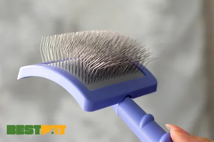 Tauro Pro Line Royal Щітка пластикова тонкі та м'які зубчики з нержавіючої сталі 25 мм, фіолетова, велика 17,5 x 10,6 x 6,2 см: додаткове фото 2