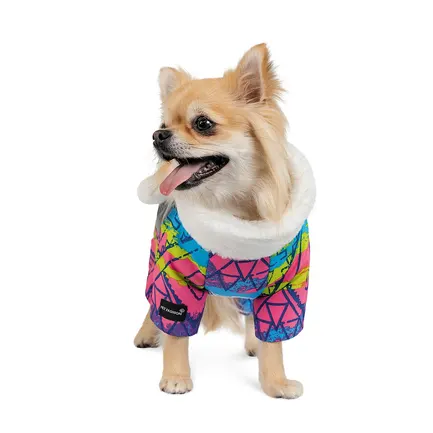 Комбінезон Pet Fashion «Amaze» для собак, розмір S, з принтом: додаткове фото 2