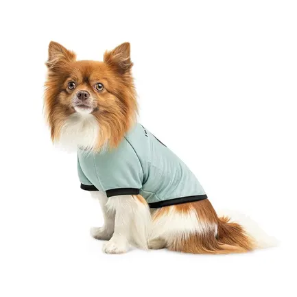 Футболка Pet Fashion Oscar для собак бавовна трикотаж рібана блакитна M: додаткове фото 3