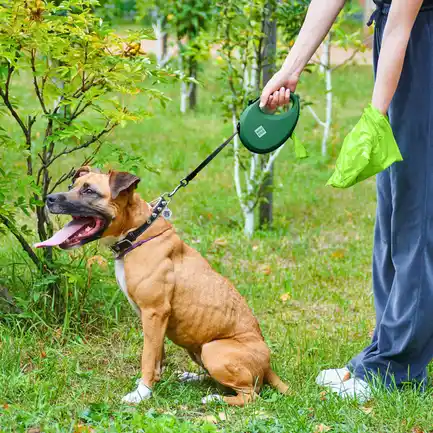 Повідець-рулетка для собак WAUDOG R-leash з контейнером для пакетів, світловідбивна стрічка, L, до 40 кг, 5 м, зелений: додаткове фото 6