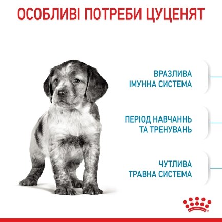 Сухий корм Royal Canin MEDIUM PUPPY для цуценят середніх порід 15 кг — Фото 3