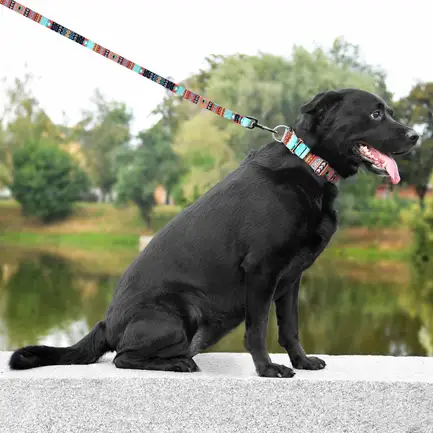 Нашийник для Собак Мартінґейл BronzeDog Urban Нейлоновий з Металевою Фурнітурою Ацтеки M: додаткове фото 7
