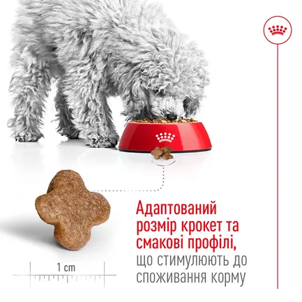 Сухий корм Royal Canin MINI ADULT 8+ для собак зрілого віку малих порід 0,8 кг: додаткове фото 4