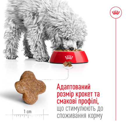 Сухий корм Royal Canin MINI ADULT 8+ для собак зрілого віку малих порід 0,8 кг — Фото 3