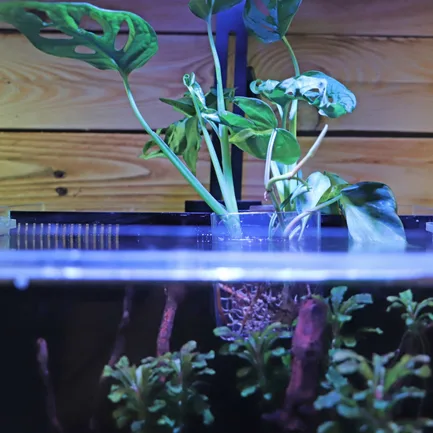 Контейнер для вирощування рослин в акваріумі Hobby Plant basket 8×9×8см (61330): додаткове фото 6