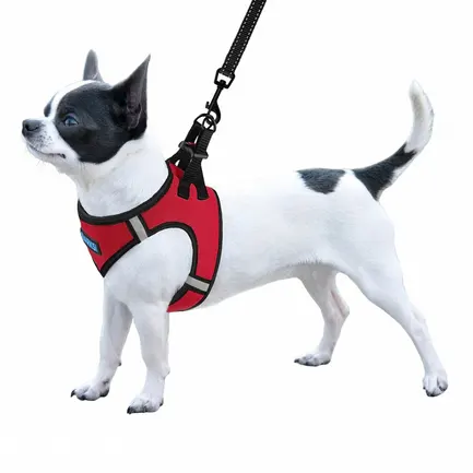 Шлея для собак Barksi Sport Vest неопрен 3D сітка червона M: додаткове фото 3
