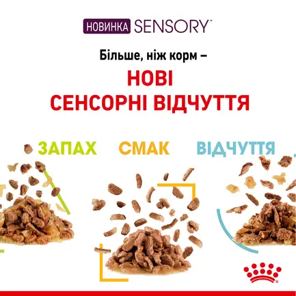 Вологий корм Royal Canin SENSORY FEEL JELLY для котів всіх порід 85 г: додаткове фото 3
